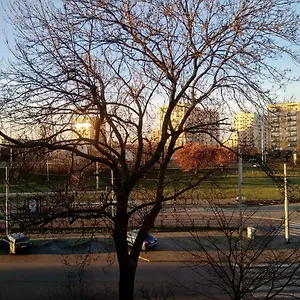 Daola , Gdańsk Polska
